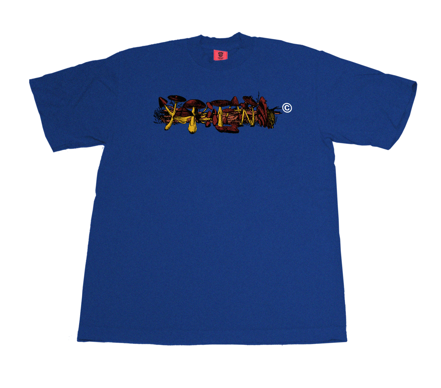 VISTA VULTURA TEE - COBALT